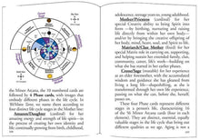 Load image into Gallery viewer, The We'Moon Tarot Card Deck: Featuring art by women from around the world
