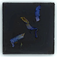 Load image into Gallery viewer, BLUE LOTUS CHOCOLATE
