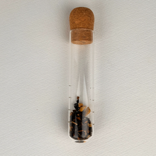 Load image into Gallery viewer, TULĀ TEA INFUSER
